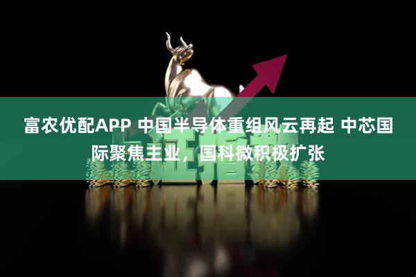 富农优配APP 中国半导体重组风云再起 中芯国际聚焦主业，国科微积极扩张