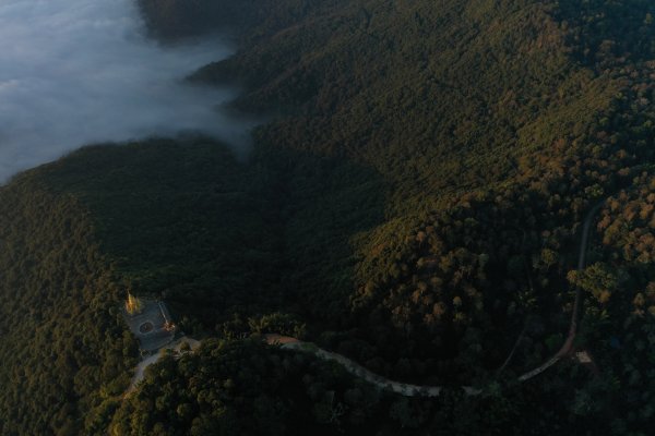 信钰配资 从智能窖藏到东方纳帕，解码传统茶业的破局新生