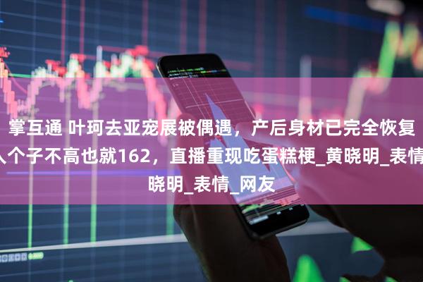 掌互通 叶珂去亚宠展被偶遇，产后身材已完全恢复，真人个子不高也就162，直播重现吃蛋糕梗_黄晓明_表情_网友