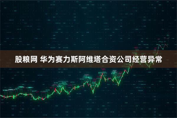 股粮网 华为赛力斯阿维塔合资公司经营异常